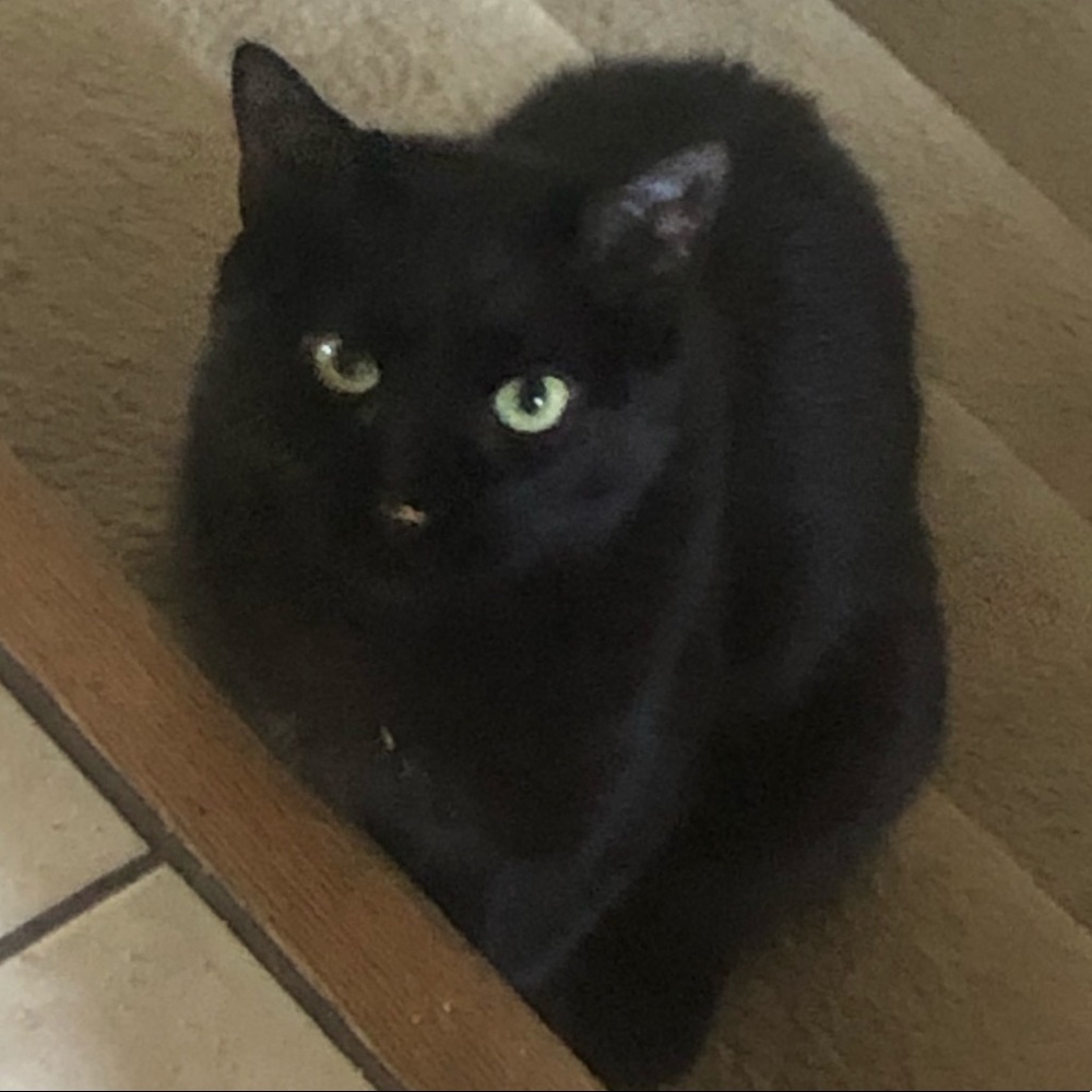 Meet your Posher, Jennifer